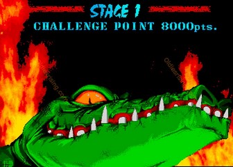 image de The First Funky Fighter